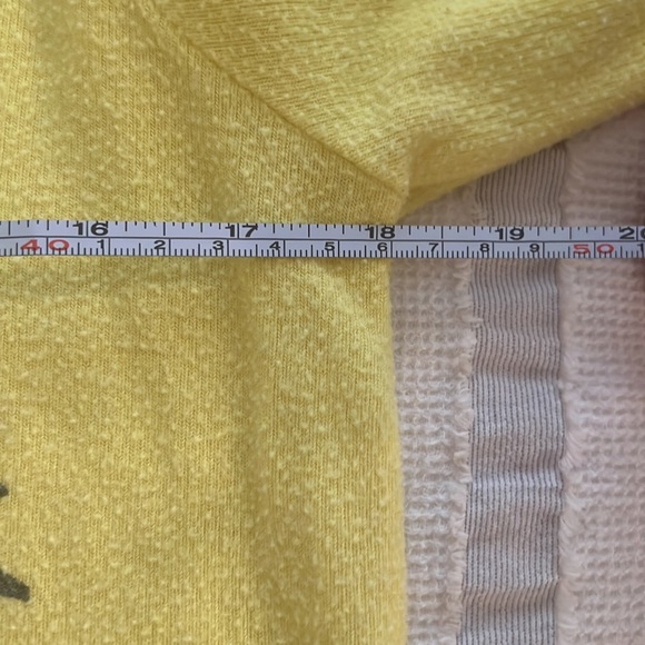 Wildfox Pineapple Graphic Oversized Pullover size XS - Picture 6 of 6